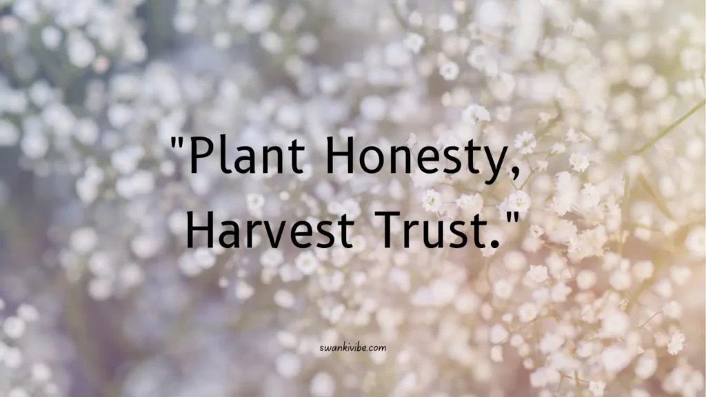honest is a seed for trust
