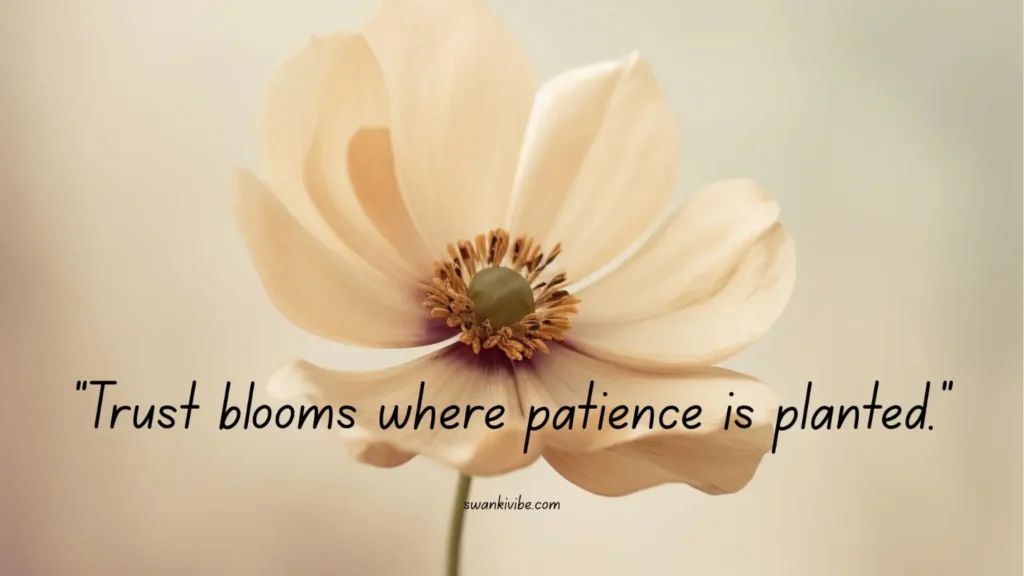 Patience blooms the trust