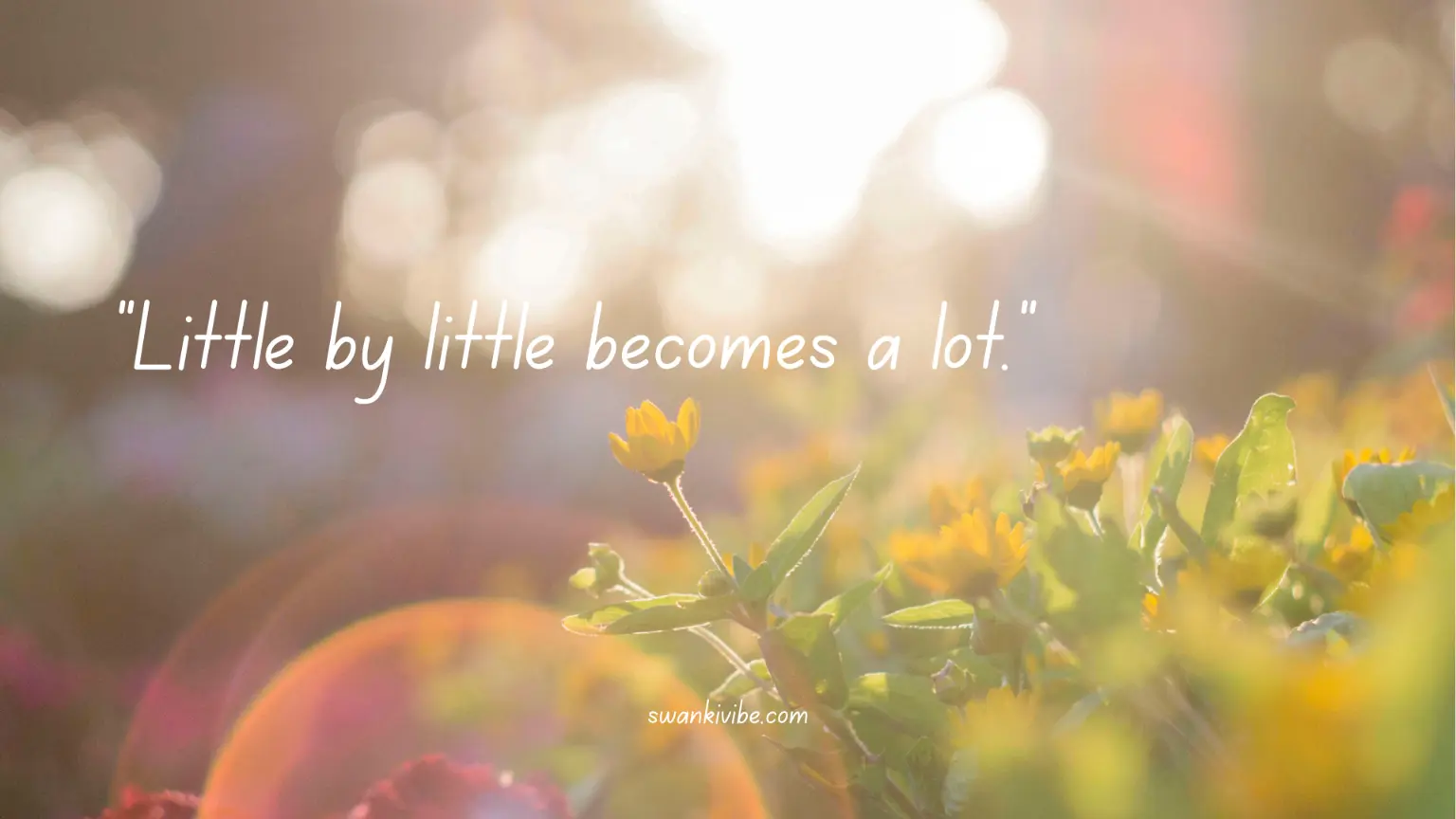 little by little become a lot