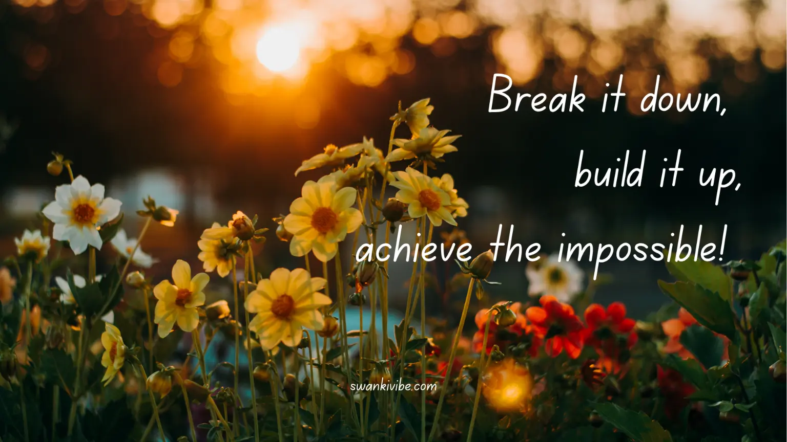 Break down goals and get them