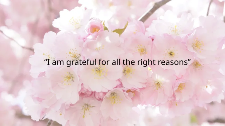 feature-image-of-gratitude-quotation-wallpaper.webp
