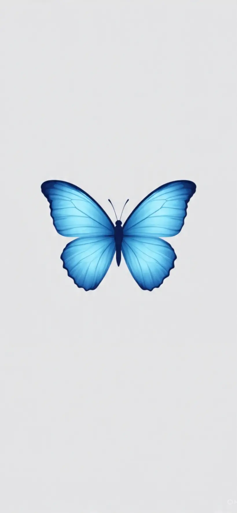 Blue Butterfly iPhone Wallpapers 30